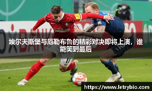 米乐m6yy易游